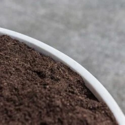 Jesslyn Refined Planter - Natural White 17 Jesslyn Refined Planter - Natural White -Indoor Plant Store Jesslyn Refined Planter Natural White Rim