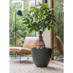 Jesslyn Refined Planter - Pine Green -Indoor Plant Store Jesslyn Refined Planter Pine Green Office Planters
