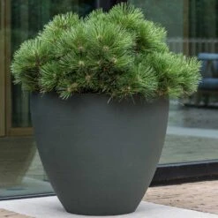 Jesslyn Refined Planter - Pine Green -Indoor Plant Store Jesslyn Refined Planter Pine Green Outdoor Plant Display