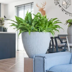 Jesslyn Plant Pot - Ridged Cement -Indoor Plant Store JesslynPlantPot RidgedCement 2