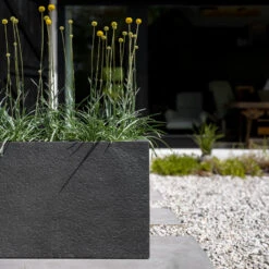 Jort Granite Trough Planter - Midnight Black -Indoor Plant Store Jort Granite Trough Planter Midnight Black Lifestyle