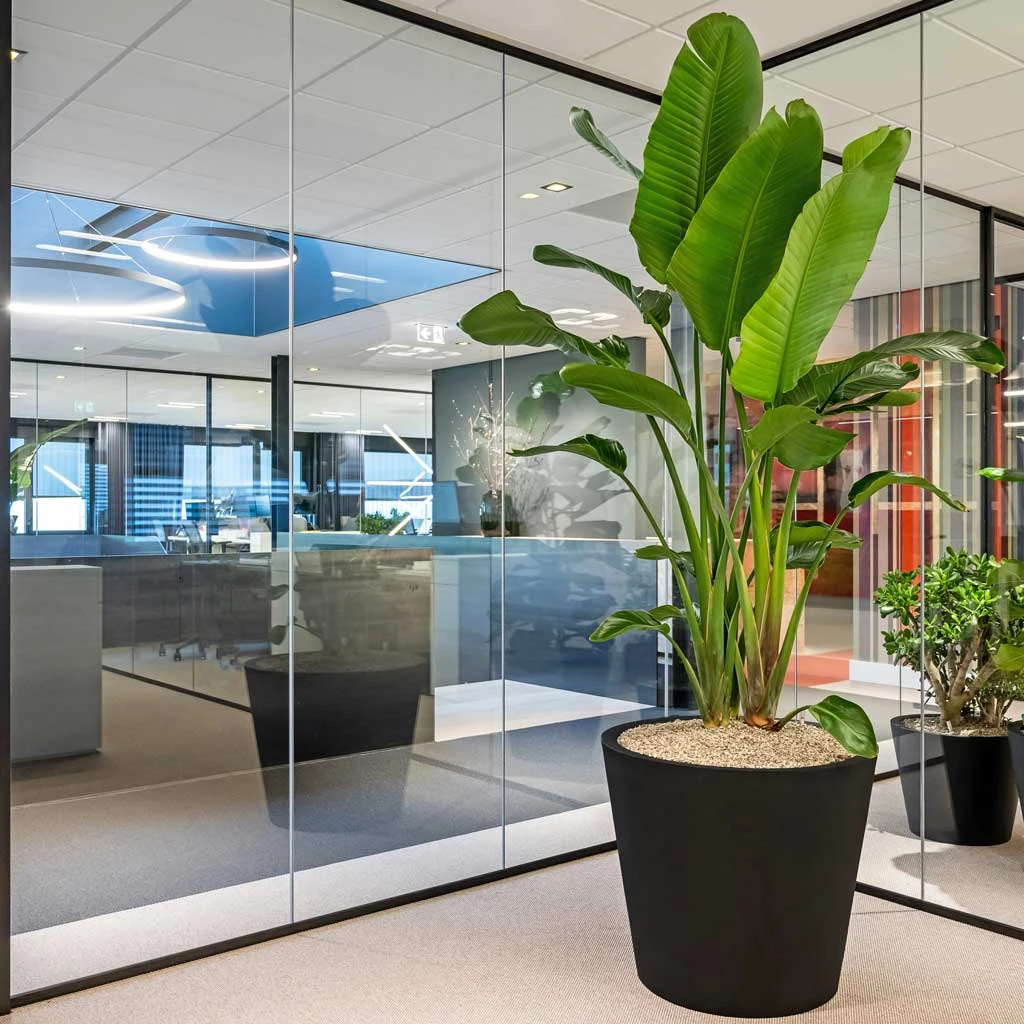 Jumbo Bucket Natural Planter - Black 4 Jumbo Bucket Natural Planter - Black - Image 4