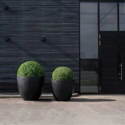 Jumbo Jesslyn Natural Planter - Black -Indoor Plant Store Jumbo Jesslyn Natural Planter Black Entrance Planters