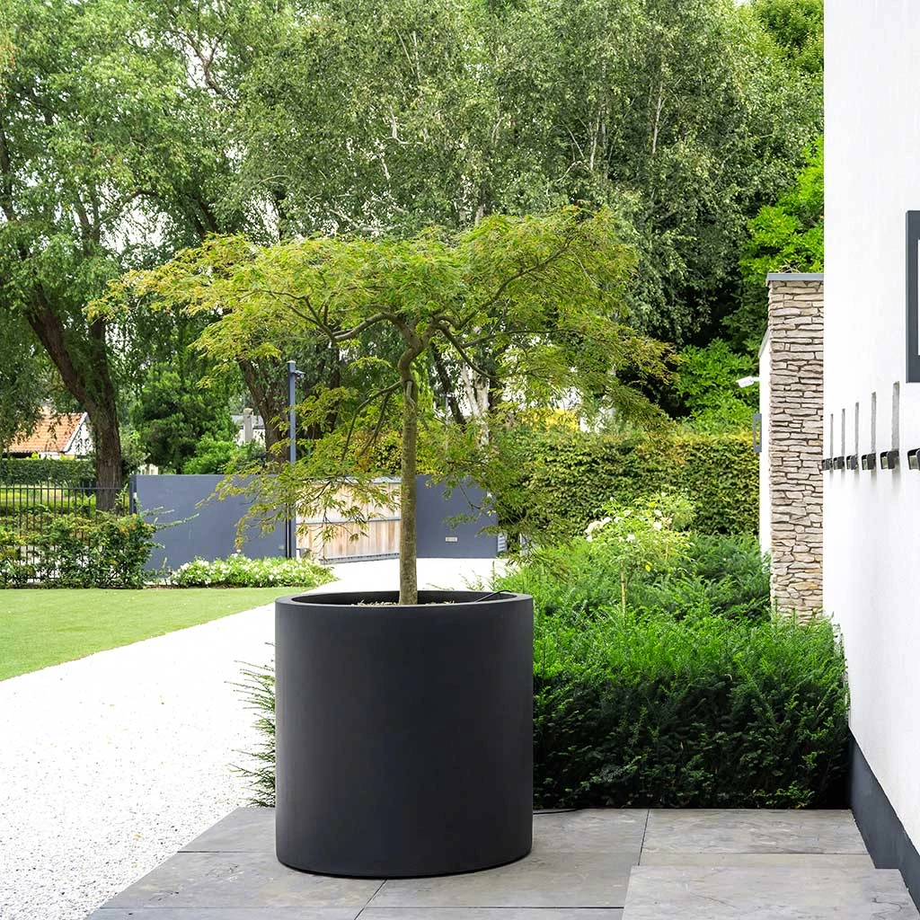 Jumbo Max Natural Planter - Black 2 Jumbo Max Natural Planter - Black - Image 2