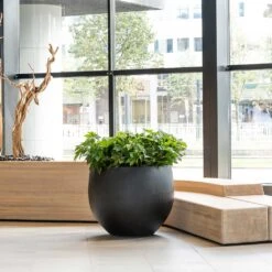 Jumbo Orb Natural Orb Planter - Black -Indoor Plant Store Jumbo Orb Natural Orb Planter Black Office Reception Planter