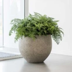 Jumbo Orb Planter - Stone Washed -Indoor Plant Store Jumbo Orb Planter Stone Washed Office Plants