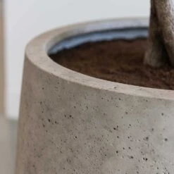 Jumbo Patt Planter - Stone Washed 11 Jumbo Patt Planter - Stone Washed -Indoor Plant Store Jumbo Patt Planter Stone Washed Close Up