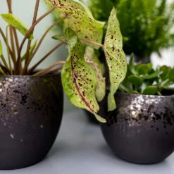 Kae Plant Pot - Mocha 23 Kae Plant Pot - Mocha -Indoor Plant Store Kae Plant Pot Mocha Textures