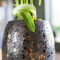 Kae Plant Vase - Mocha -Indoor Plant Store Kae Plant Vase Mocha Close Up
