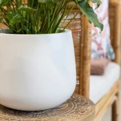 Kevan Essentials Plant Pot - Matt White 12 Kevan Essentials Plant Pot - Matt White -Indoor Plant Store Kevan Plant Pot Matt White Philodendron Plant