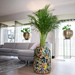 Lammie Planter - Berry Blue 14 Lammie Planter - Berry Blue -Indoor Plant Store Lammie Planter Berry Blue 5