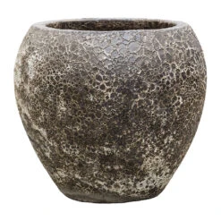 Lava Balloon Relic Planter - Black 9 Lava Balloon Relic Planter - Black -Indoor Plant Store Lava Balloon Relic Planter Black 54x50cm