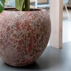 Lava Balloon Relic Planter - Pink -Indoor Plant Store Lava Balloon Relic Planter Pink 2