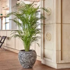 Lava Balloon Relic Planter - Rust 12 Lava Balloon Relic Planter - Rust -Indoor Plant Store Lava Balloon Relic Rust Metal