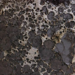 Lava Cube Relic Planter - Black -Indoor Plant Store Lava Couple Straight Relic Planter Black 2 8eeeabc8 e248 48ec beba c1c792ded75f