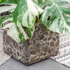 Lava Cube Relic Planter - Black -Indoor Plant Store Lava Cube Relic Planter Black 1