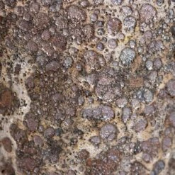 Lava Balloon Relic Planter - Rust 14 Lava Balloon Relic Planter - Rust -Indoor Plant Store Lava Rust Swatch 3