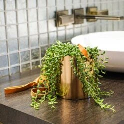 Floro Hanging Plant Pot - Copper 12 Floro Hanging Plant Pot - Copper -Indoor Plant Store Lifestyle Floro Hanging Plant Pot 13x13cm 2