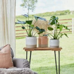 Puro Ripple Plant Pot - Peach 9 Puro Ripple Plant Pot - Peach -Indoor Plant Store Lifestyle Puro Ripple Plant Pot 21x19cm