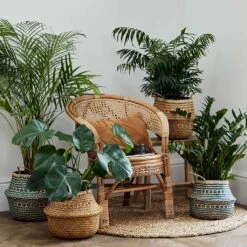 Seagrass Tribal Basket - Teal Lined -Indoor Plant Store Lifestyle Seagrass Tribal Basket Teal Lined 35x30cm