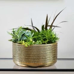 Solis Embossed Plant Bowl - Gold -Indoor Plant Store Lifestyle Solis Embossed Plant Bowl Gold 30x15cm