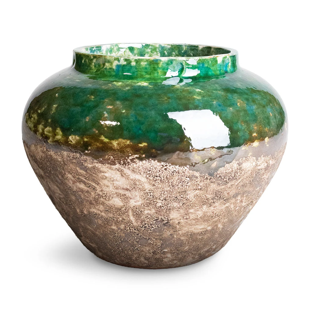 Lindy Jar Plant Pot - Black Green 4 Lindy Jar Plant Pot - Black Green - Image 4