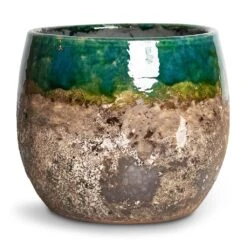 Lindy Plant Pot - Black Green -Indoor Plant Store Lindy Plant Pot Black Green 16x13cm