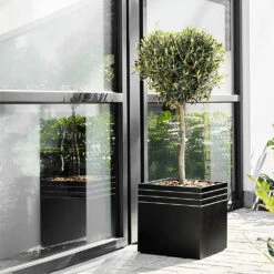 Line-Up Cube Planter - Matt Black -Indoor Plant Store Line Up Cube Planter Matt Black Lifestyle 2