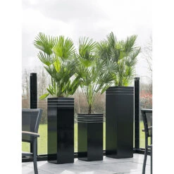 Line-Up Tall Square Planter - Matt Black -Indoor Plant Store Line Up Tall Square Planter Matt Black Lifestyle