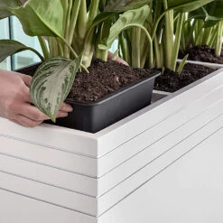 Line-Up Rectangle Planter - Matt White 9 Line-Up Rectangle Planter - Matt White -Indoor Plant Store Line Up Tall Square Planter Matt White Lifestyle 2c471cac 7423 41f5 98b3 d25bd28306b4