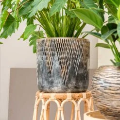 Luxe Lite Comet Cylinder Planter - Bronze -Indoor Plant Store Luxe Lite Comet Cylinder Planter Bronze Small Houseplant