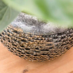 Luxe Lite Layer Globe Planter - Bronze 18 Luxe Lite Layer Globe Planter - Bronze -Indoor Plant Store Luxe Lite Layer Globe Planter 1