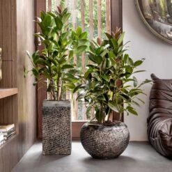 Luxe Lite Layer Globe Planter - Bronze 12 Luxe Lite Layer Globe Planter - Bronze -Indoor Plant Store Luxe Lite Layer Globe Planter Bronze Lifestyle