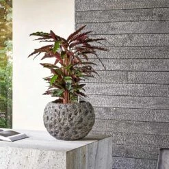 Luxe Lite Moon Globe Planter - Bronze -Indoor Plant Store Luxe Lite Universe Moon Globe Bronze