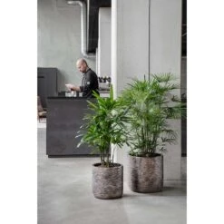 Luxe Lite Wrinkle Cylinder Planter - Bronze 17 Luxe Lite Wrinkle Cylinder Planter - Bronze -Indoor Plant Store Luxe Lite Wrinkle Cylinder Planter Bronze Lifestyle