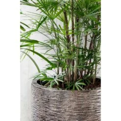 Luxe Lite Wrinkle Cylinder Planter - Bronze 20 Luxe Lite Wrinkle Cylinder Planter - Bronze -Indoor Plant Store Luxe Lite Wrinkle Cylinder Planter Bronze Lifestyle Close