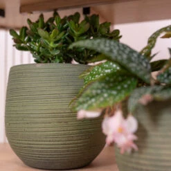 Lydia Plant Pot - Shiny Green -Indoor Plant Store LydiaPlantPot ShinyGreen 3