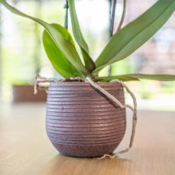 Lydia Plant Pot - Shiny Purple 26 Lydia Plant Pot - Shiny Purple -Indoor Plant Store LydiaPlantPotShiny Purple 1