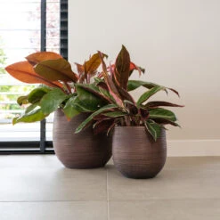 Lydia Plant Pot - Shiny Purple 35 Lydia Plant Pot - Shiny Purple -Indoor Plant Store LydiaPlantPotShiny Purple 4