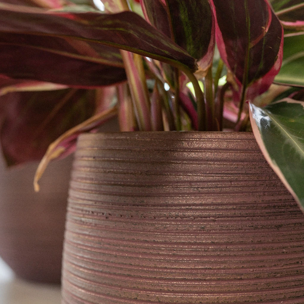 Lydia Plant Pot - Shiny Purple 13 Lydia Plant Pot - Shiny Purple - Image 13