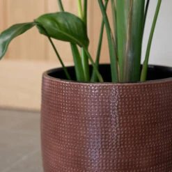 Lykke Plant Pot - Chestnut Blush 13 Lykke Plant Pot - Chestnut Blush -Indoor Plant Store Lykke Chestnut 2