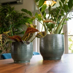Lykke Plant Pot - Sage -Indoor Plant Store Lykke Sage 2