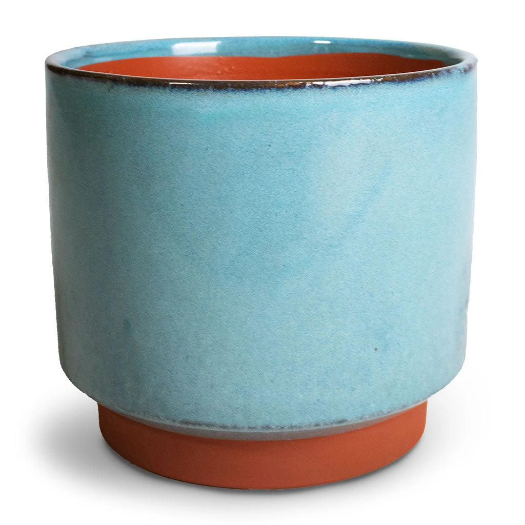 Malibu Plant Pot - Blue 1 Malibu Plant Pot - Blue
