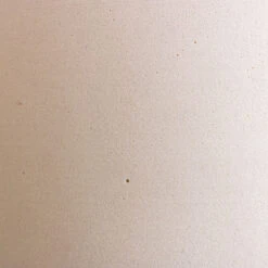 Max Refined Planter - Natural White -Indoor Plant Store Max Refined Planter Natural White 1