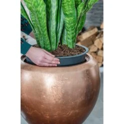 Metallic Couple Plant Pot - Matt Copper 12 Metallic Couple Plant Pot - Matt Copper -Indoor Plant Store Metallic Couple Plant Pot Matt Copper Sansevieria Lifestyle Close