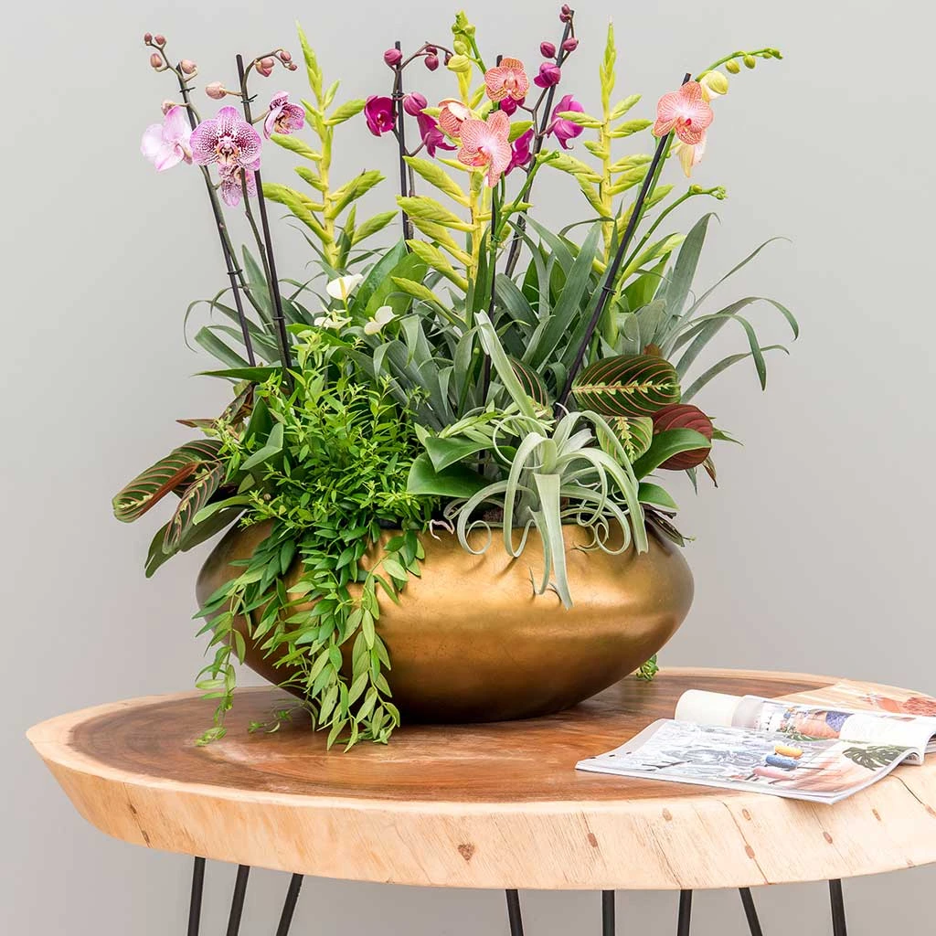 Metallic UFO Plant Bowl - Matt Honey 2 Metallic UFO Plant Bowl - Matt Honey - Image 2