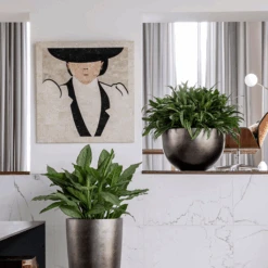 Metallic Plant Bowl - Matt Coffee 11 Metallic Plant Bowl - Matt Coffee -Indoor Plant Store MetallicPlantBowl MattCoffee 45x27cmPlantPotSizeCheck HortologyMetallicPlantBowl MattCoffee 1