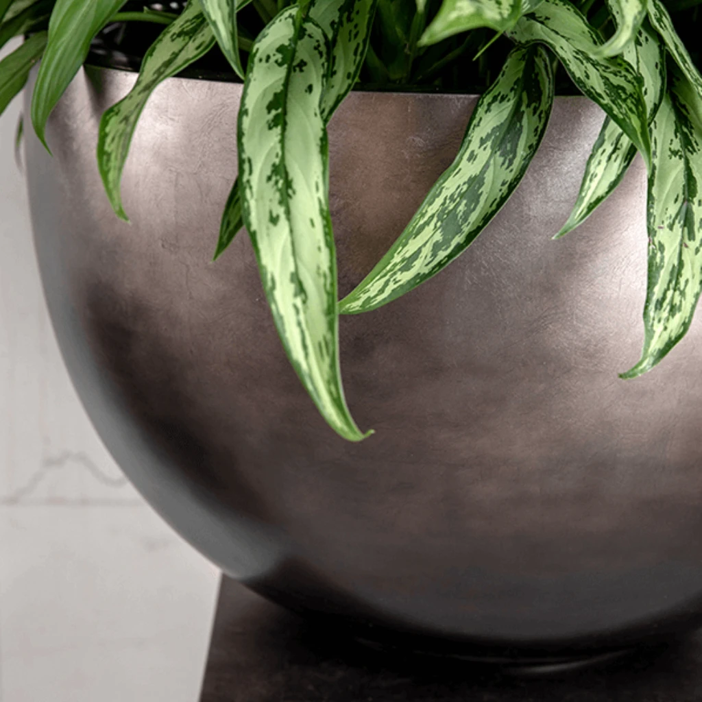 Metallic Plant Bowl - Matt Coffee 2 Metallic Plant Bowl - Matt Coffee - Image 2