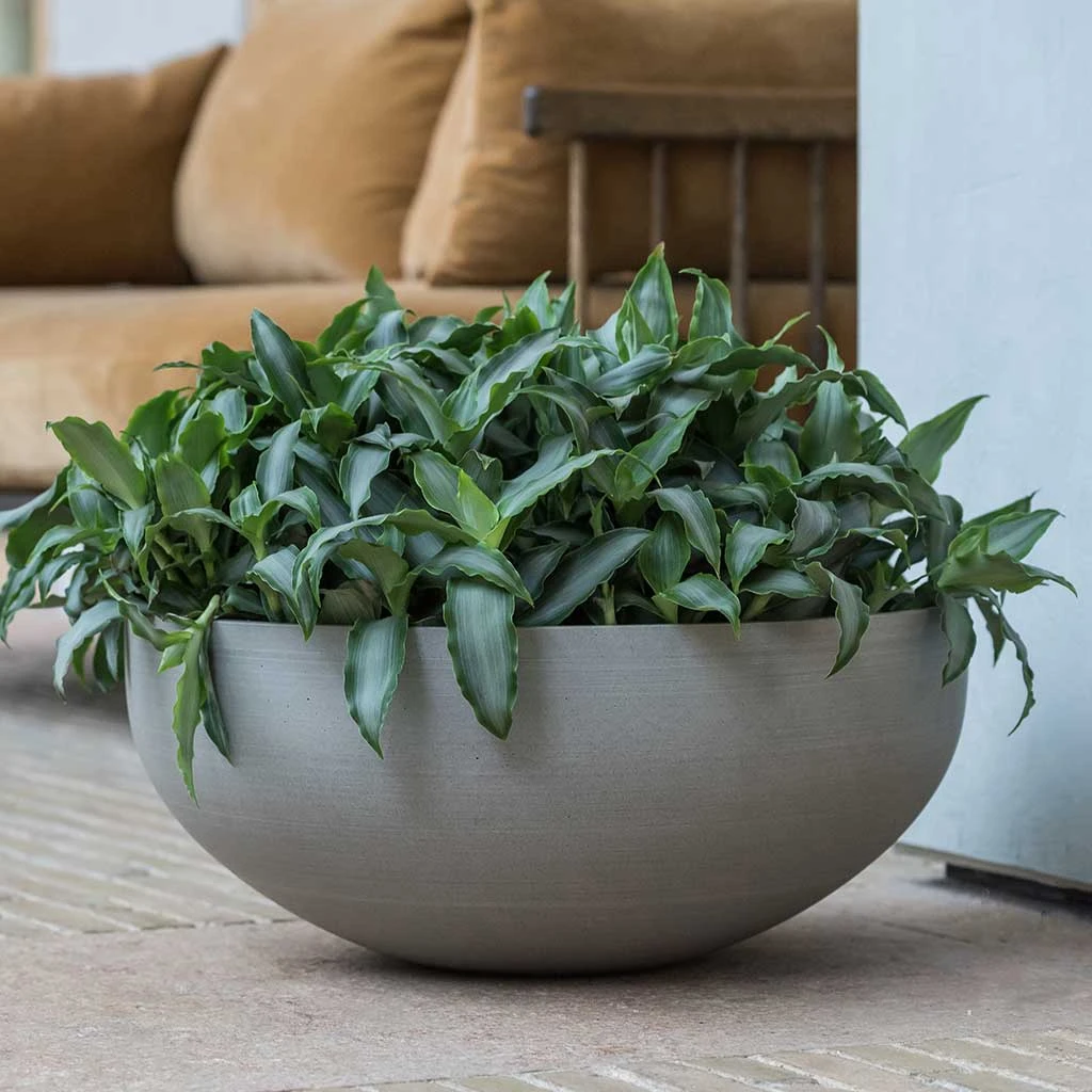 Morgana Refined Plant Bowl - Clouded Grey 2 Morgana Refined Plant Bowl - Clouded Grey - Image 2