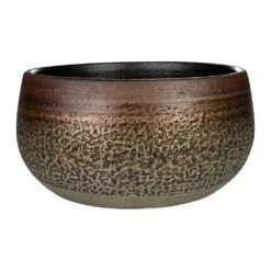 Mya Plant Bowl - Deep Champagne 6 Mya Plant Bowl - Deep Champagne -Indoor Plant Store Mya Plant Bowl Deep Champagne Medium